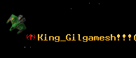King_Gilgamesh!!!