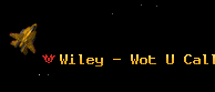 Wiley - Wot U Call It?