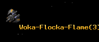 Woka-Flocka-Flame