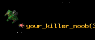 your_killer_noob