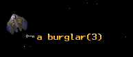 a burglar