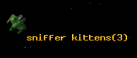 sniffer kittens