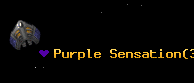 Purple Sensation