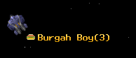 Burgah Boy