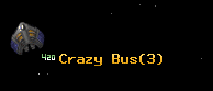 Crazy Bus
