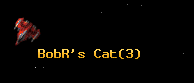 BobR's Cat