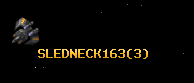 SLEDNECK163