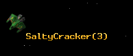 SaltyCracker