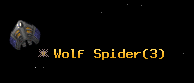 Wolf Spider