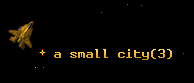 a small city