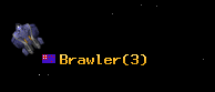 Brawler