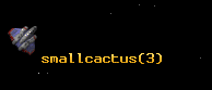 smallcactus