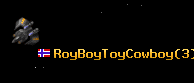 RoyBoyToyCowboy